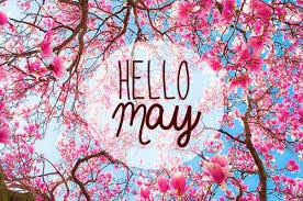 hello may flowers