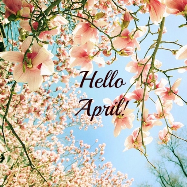 text that says "hello spring" in front of flowers